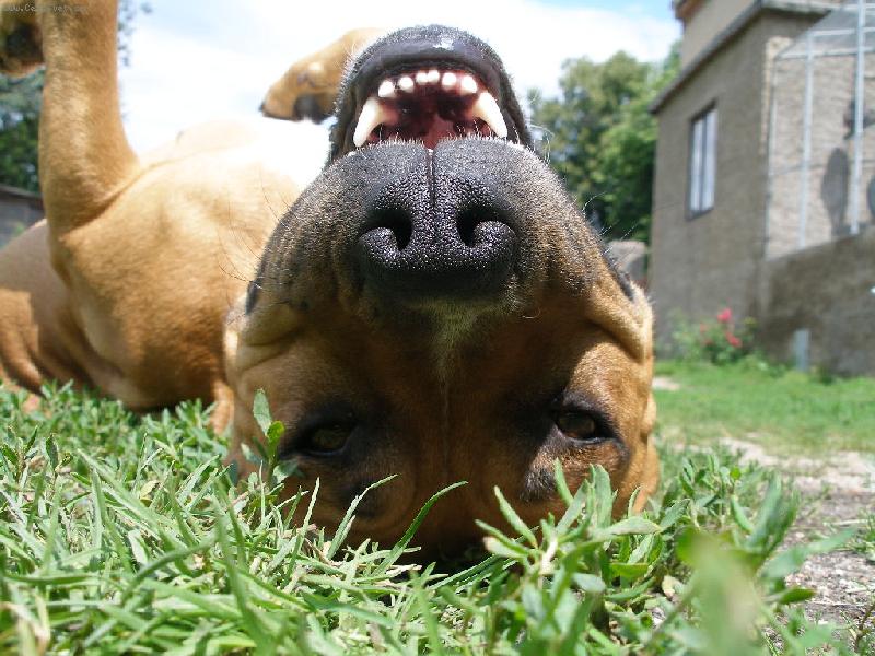 Foto: �sm�v-�ekn�te s�r :)