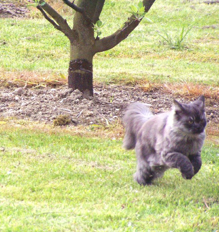 Foto: Gizma-Po�kej a� t� chyt�m...