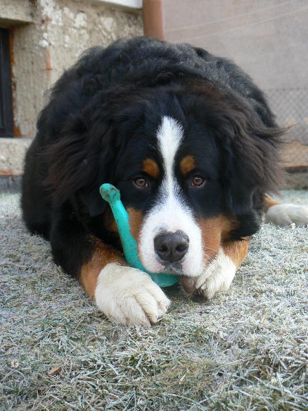 Foto: J� jsem malej, ale �ikounej :)