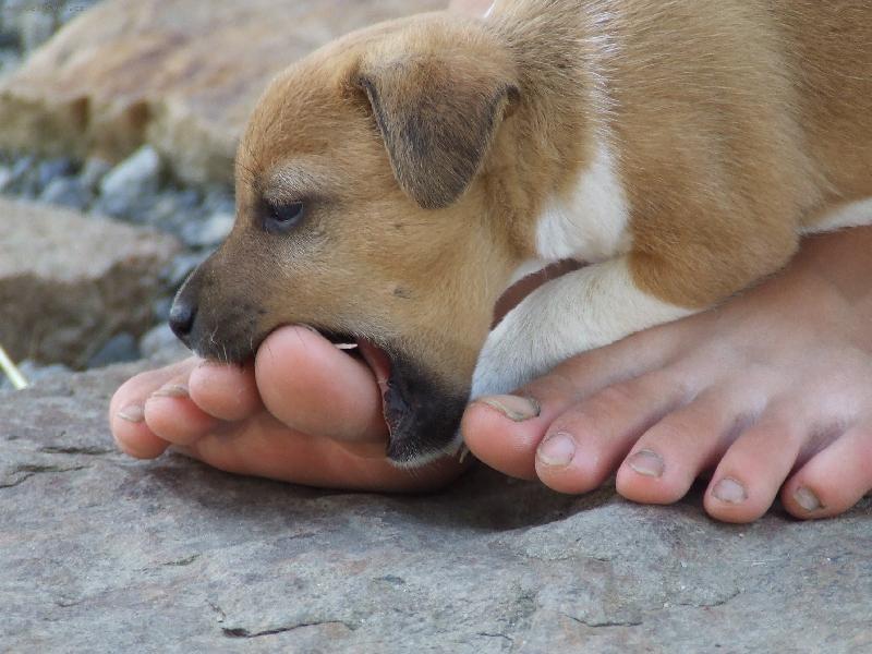 Foto: V�ECHNO SNIM