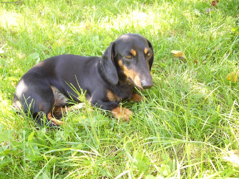 Foto: Bene�ek...-to je zelen�......