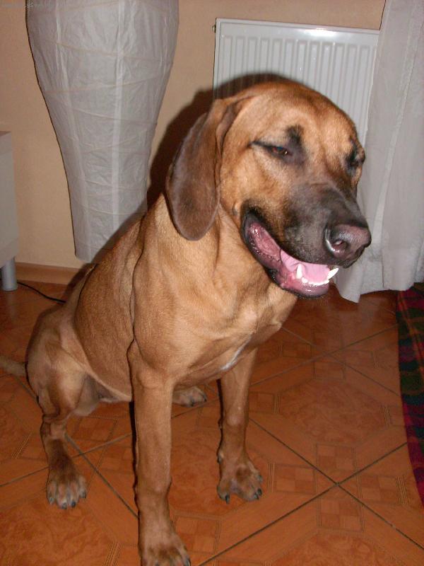 Foto: Meggy-�sm�v, pros�m !!