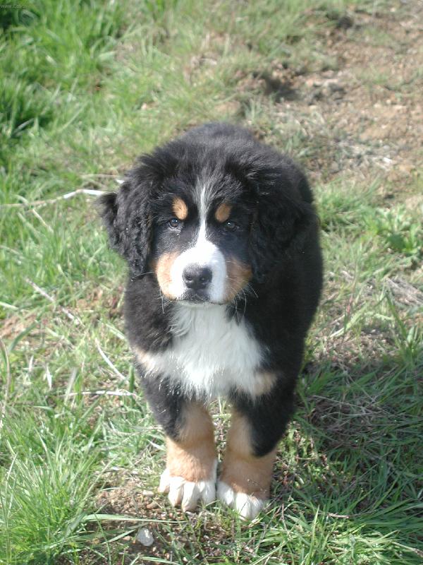 Foto: malink� Ag�tka