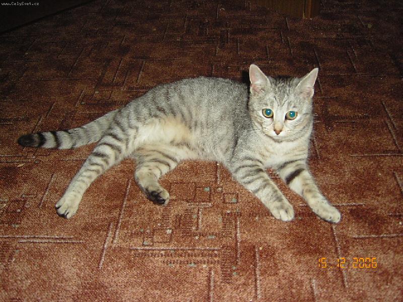 Foto: pros�m neru�it