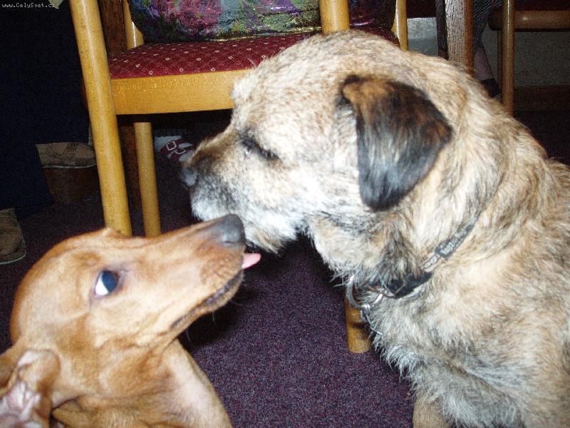 Foto: Monty a Eli�ka-M�l dobrou ve�e�i.