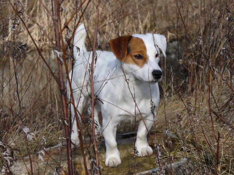 Foto: na proch�zce