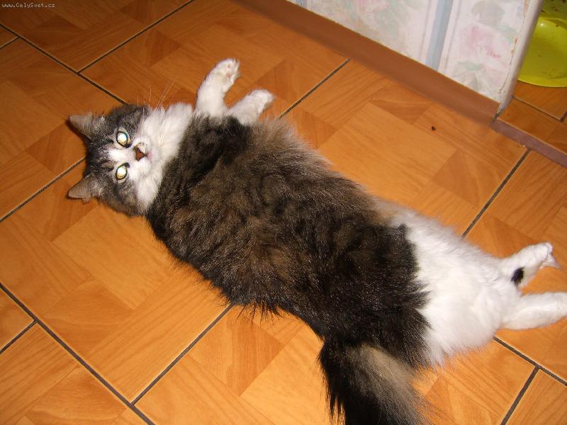 Foto: Co na m� tak divn� kouk�te?