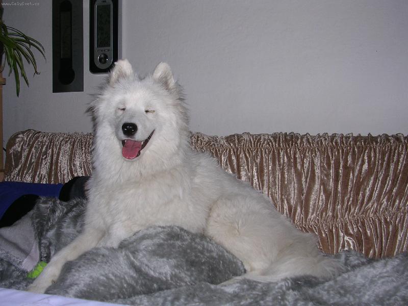 Foto: po velk� jarn� proch�zce