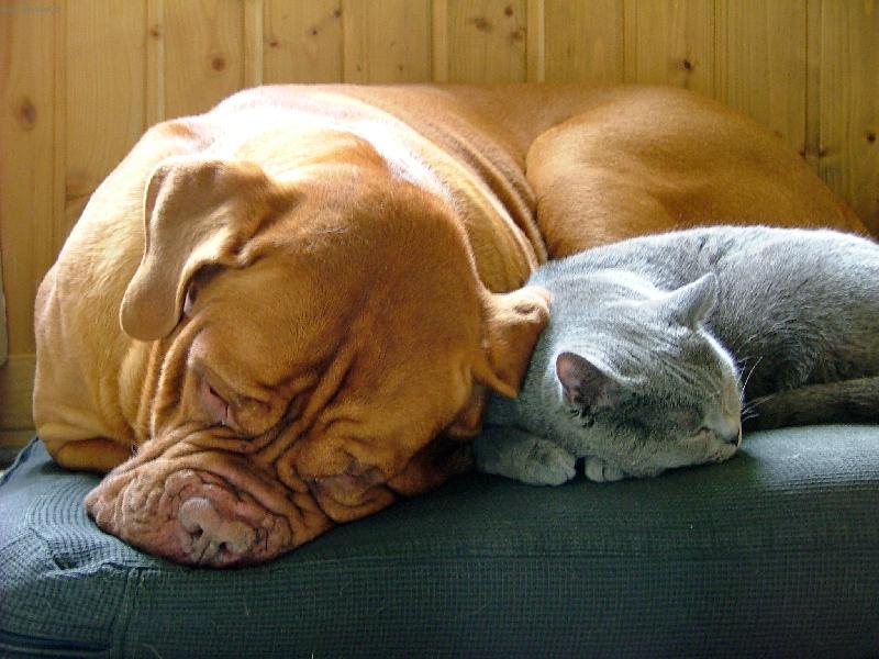 Foto: sd�l�me spole�nou postel