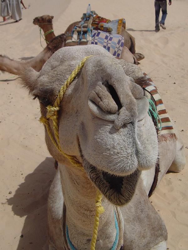 Foto: pohodi�ka-50 st.?? no a co.....