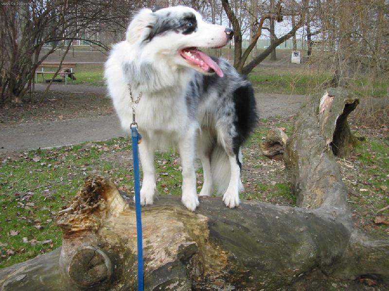 Foto: m�m rozhled
