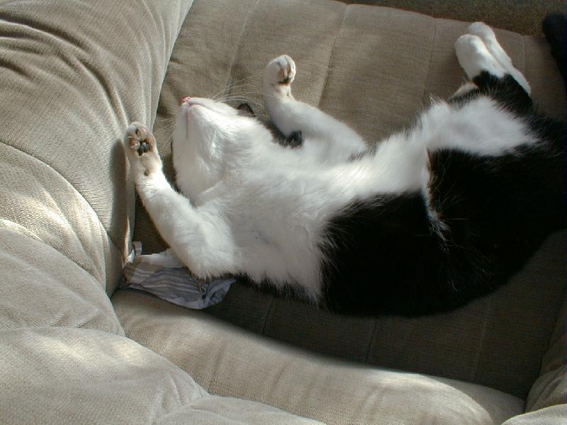 Foto: �ije�?-Nun�nek