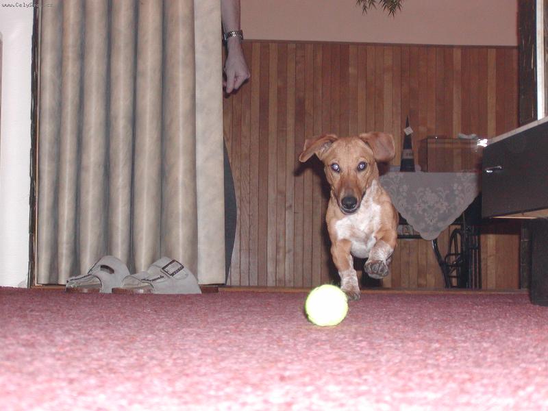 Foto: Timi-M�j bal�nek!!!