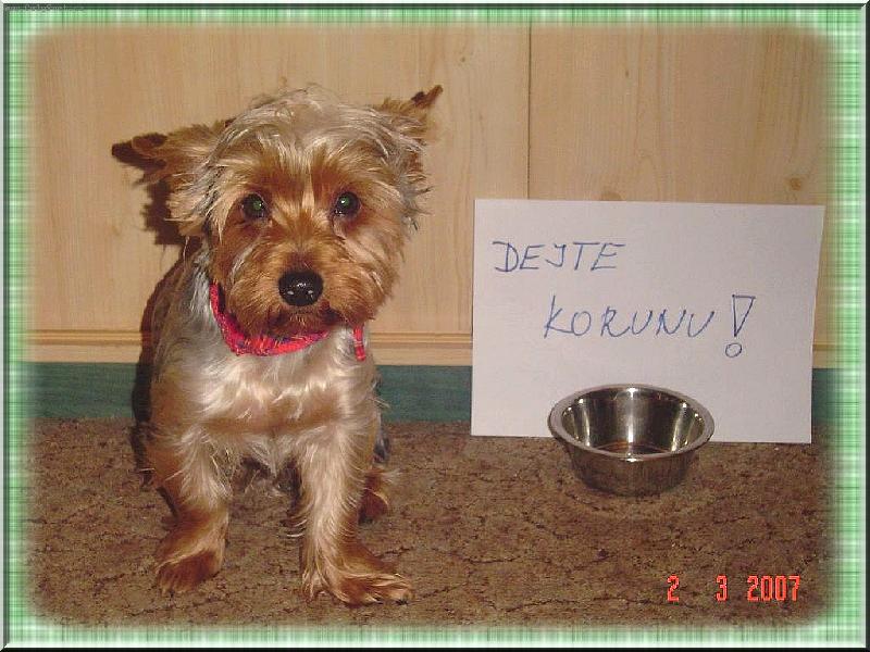 Foto: Monty-�ebr��ek