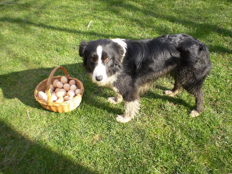 Foto: Hl�d�m-Nikomu ned�m