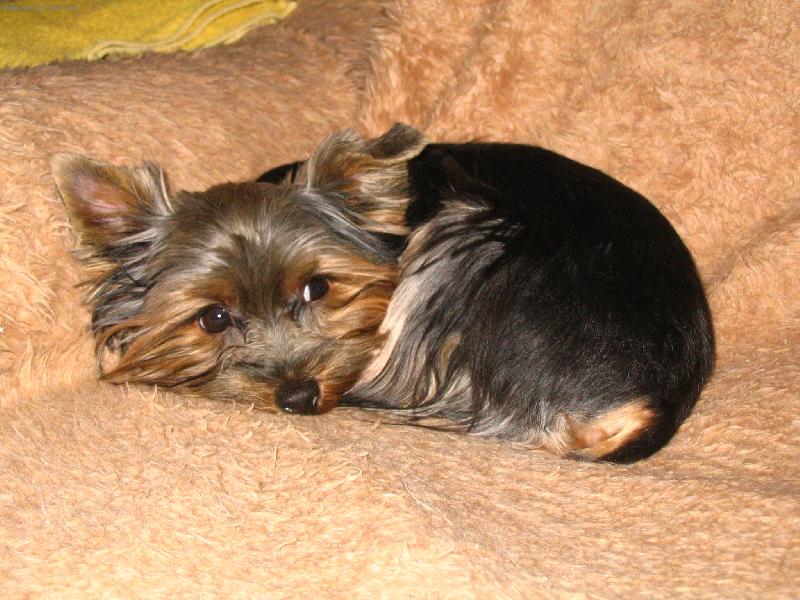 Foto: Kubik-zase m� bud�te!!