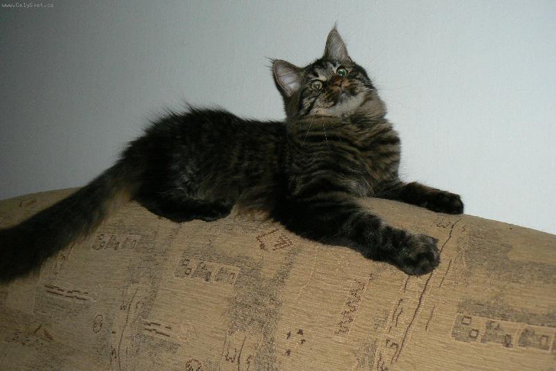 Foto: Sailinka-�sm�v pros�m