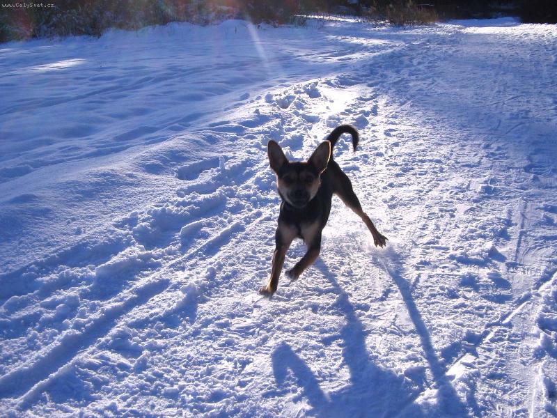 Foto: Let���m!