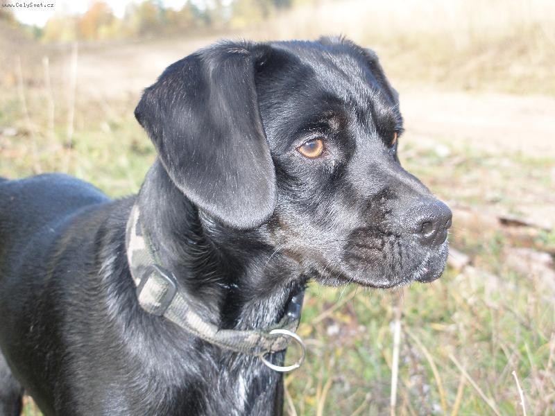 Foto: m�j mil��ek