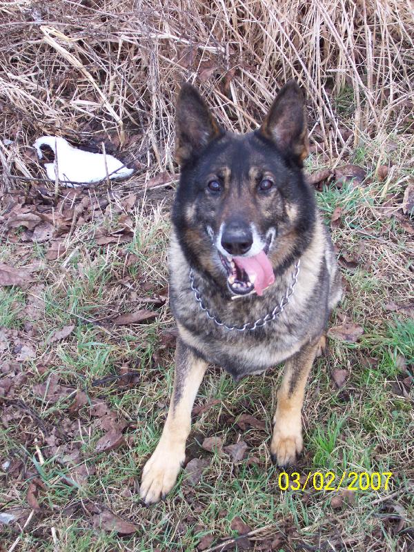 Foto: zimn� p�za-Beni�ek