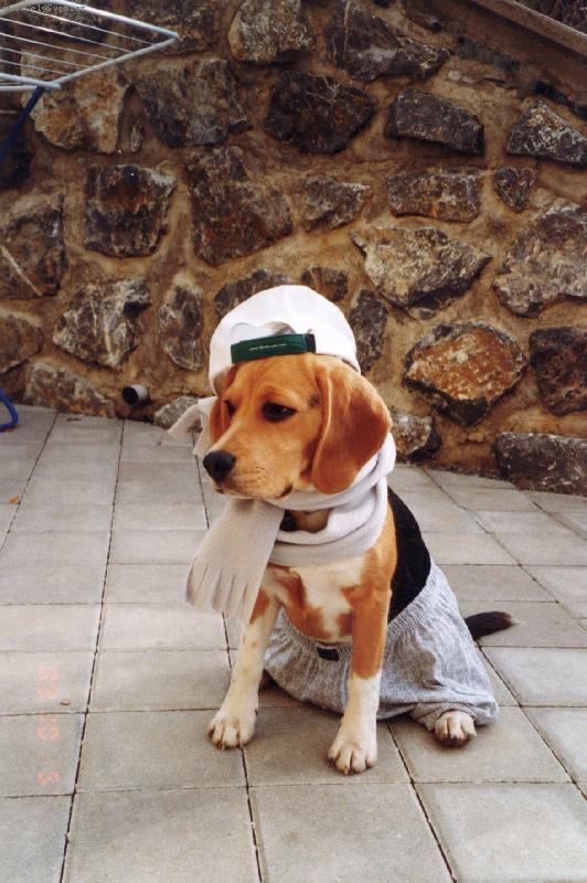 Foto: Val�m na p�ehl�dku...:)