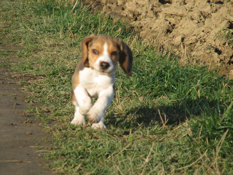 Foto: J� b��m....-Max�k