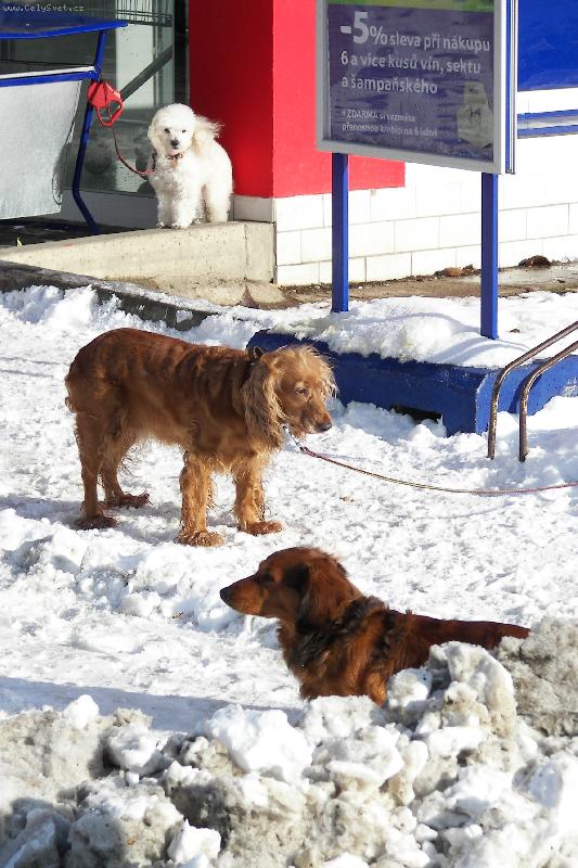 Foto: jsme na tom stejn�\.\.\.