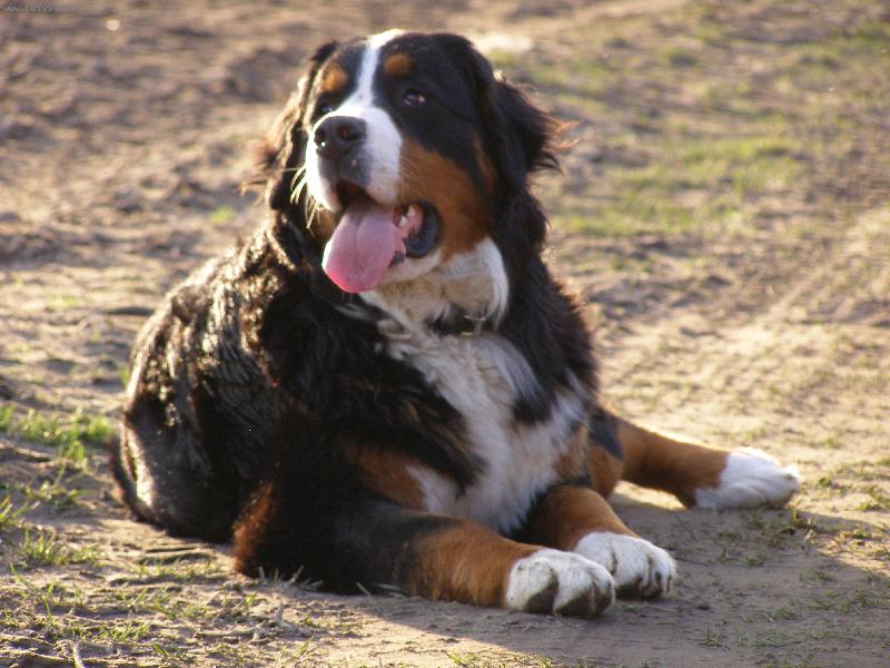 Foto: Elisa ze Stam��ic