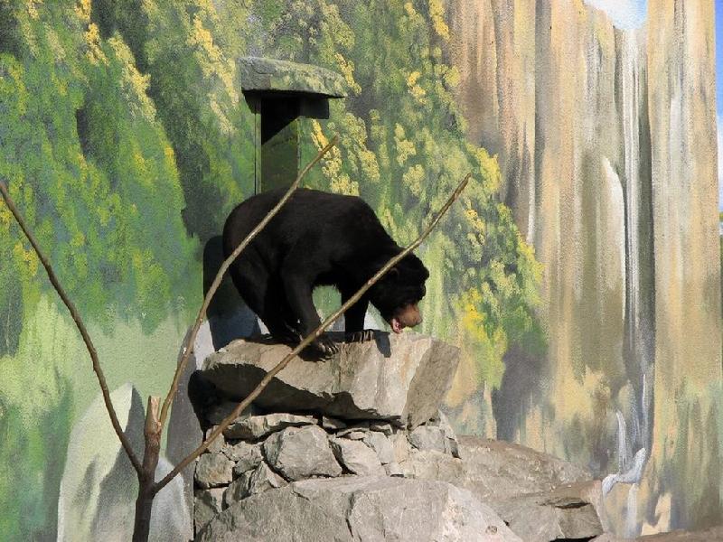 Foto: Medv�dek-ze zoo