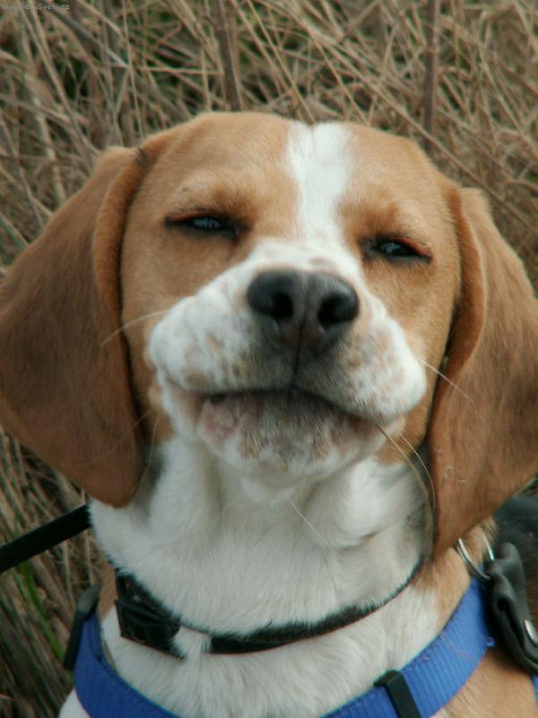 Foto: ps� �sm�v-:-)