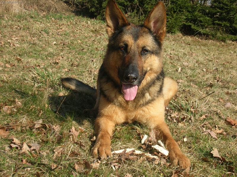 Foto: Charlie-9.let-Venku