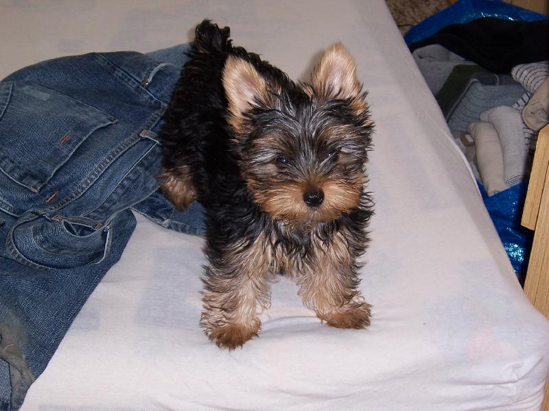 Foto: Sendynka-Je�t� miminko. :-)