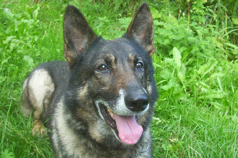 Foto: kuk!!-Bene�ek