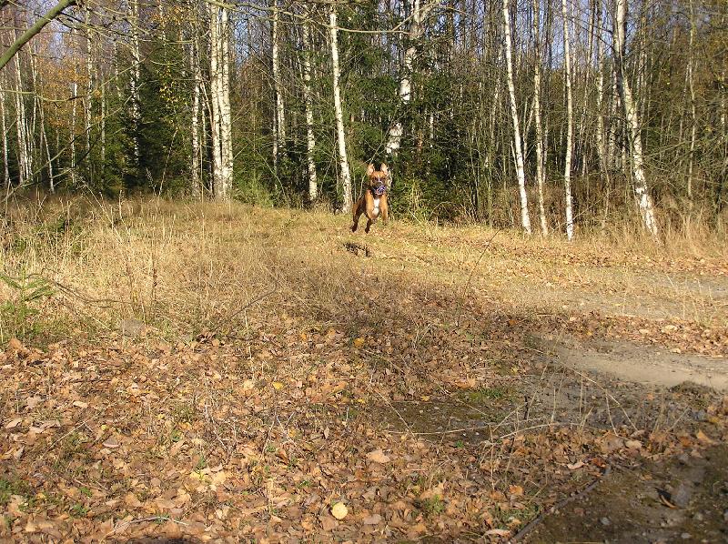 Foto: Aemi aportuje-Aemi v Brdech