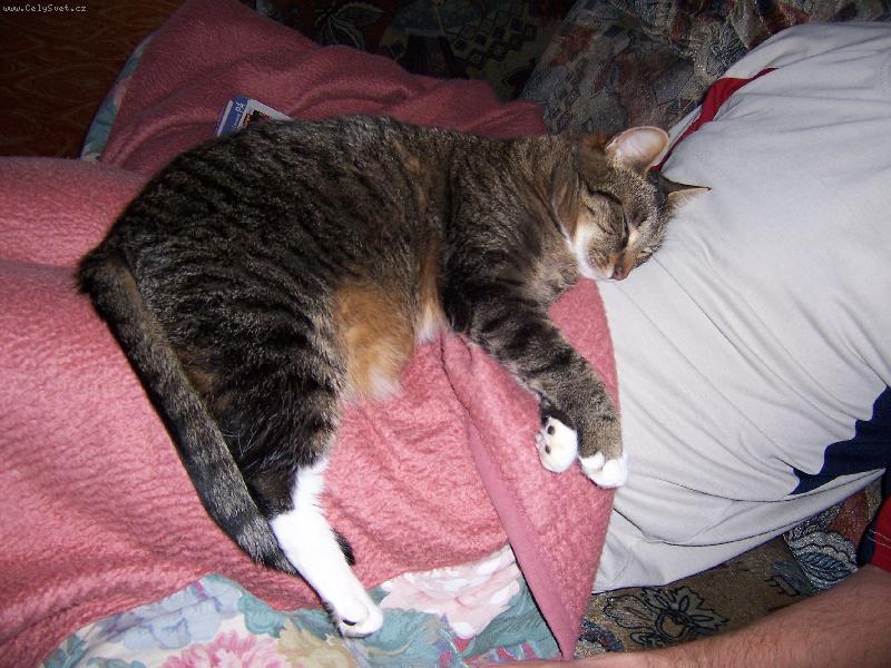 Foto: m�j nejobl�ben�j�� pol�t��ek