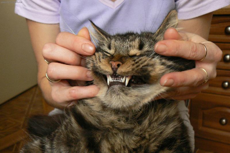 Foto: Sailinka-�sm�v pros�m :o)