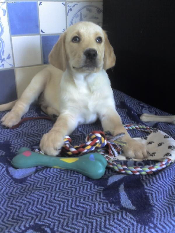 Foto: Tak to jsem ne�ekal...