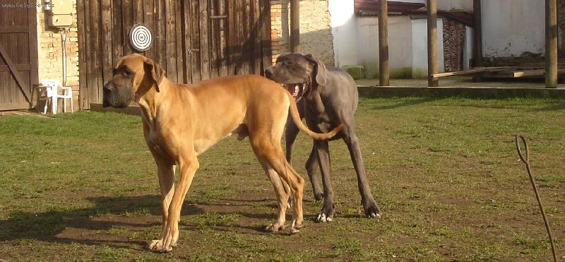 Foto: tys p�ibral-liposukce