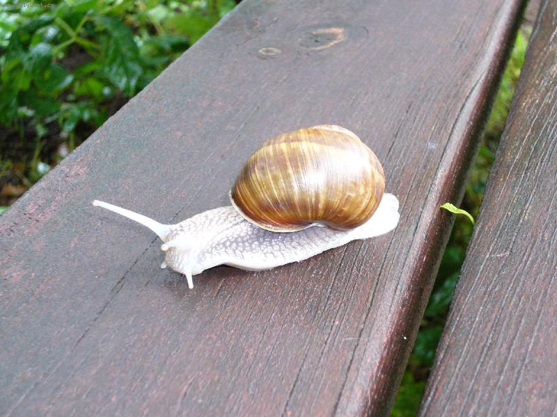 Foto: Jdu do sv�ta.