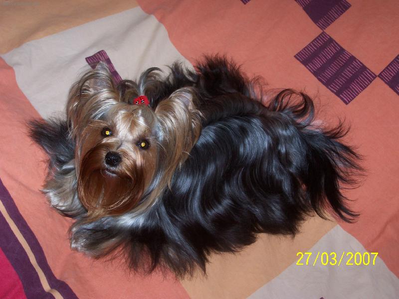 Foto: BESSY