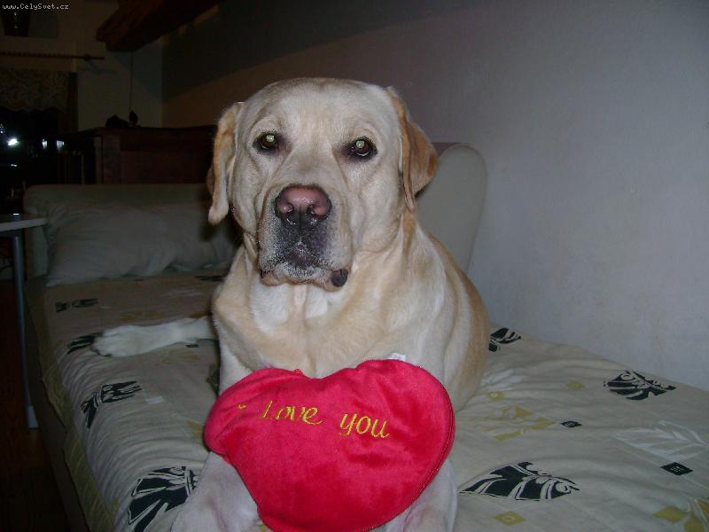 Foto: Charlie-Charlie