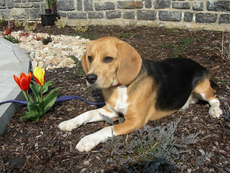 Foto: Arno�t v�t� jaro