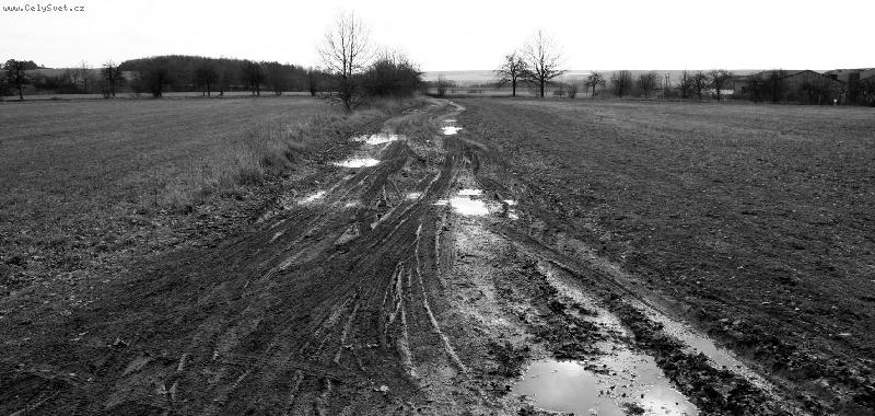 Foto: �esk� cesti�ka-sm�rem od kon�