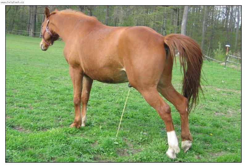 Foto: u� jsem to nevydr�el...