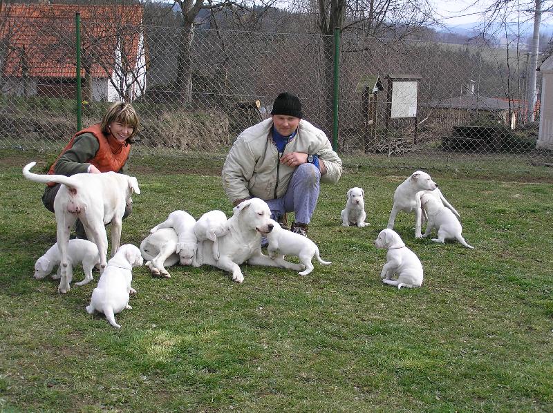 Foto: b�l� nad�len�