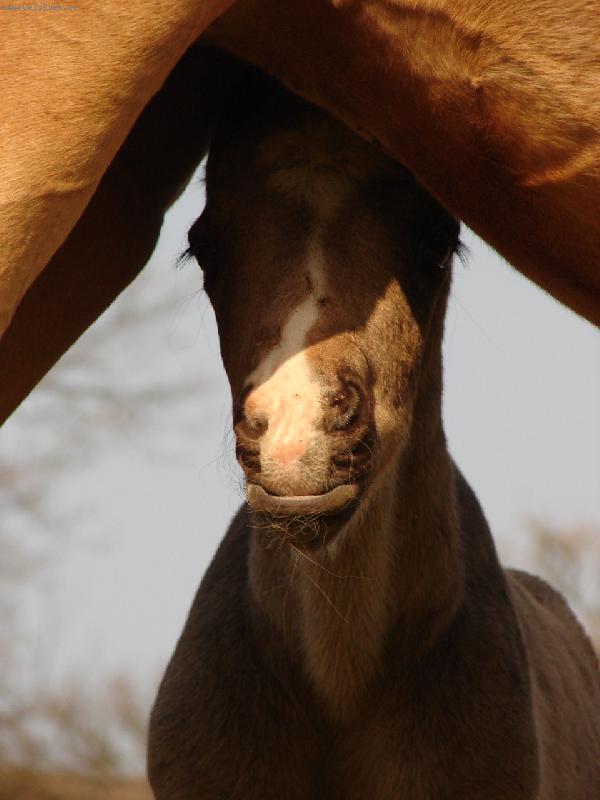 Foto: kone�n� na sv�t�...