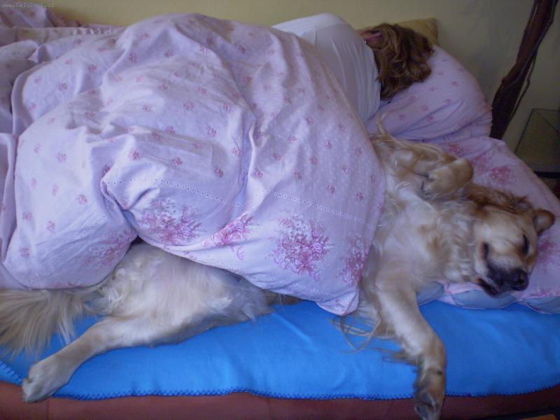 Foto: B�ra-Tak tomu ��k�m pel�ek