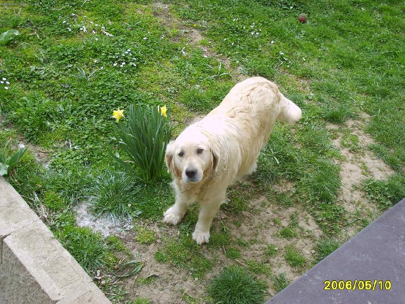 Foto: kuk kam asi kouk�m