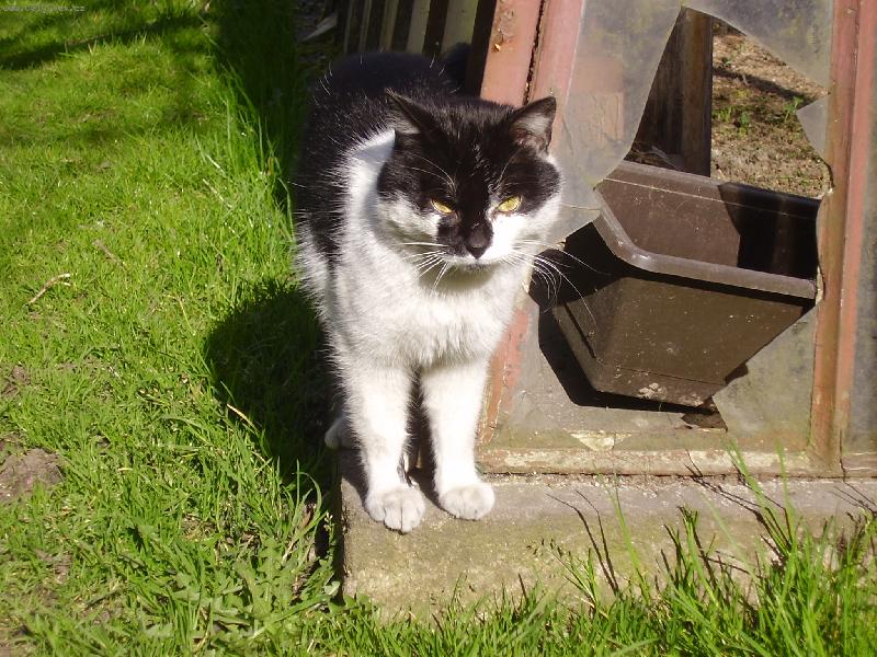 Foto: Mac��ek-A t�eba si m� n�kdo v�imne