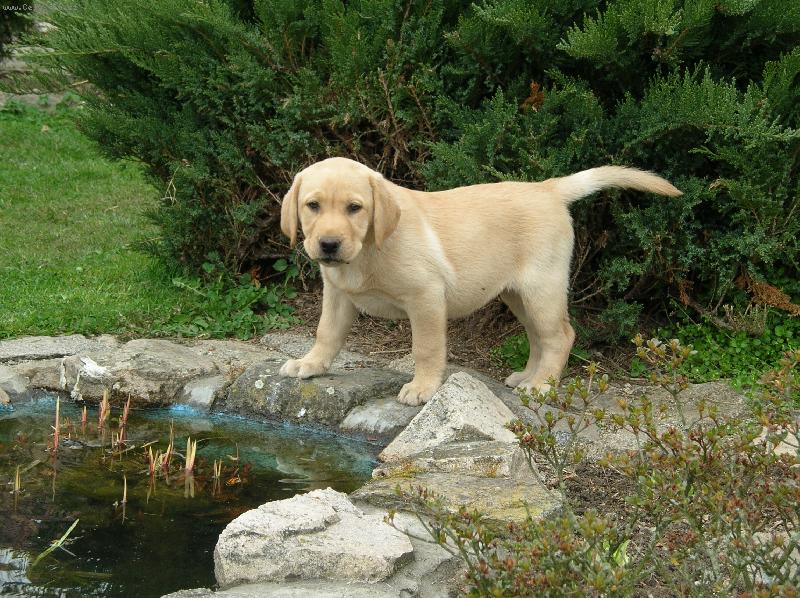 Foto: Mazl�k u jez�rka